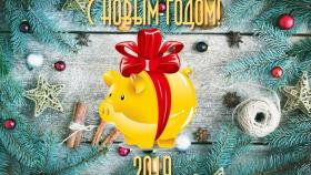 ROSNG поздравляет читателей с новым 2019 годом!