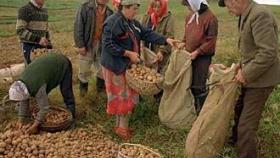 Путин поручил проверить качество сельхозпродукции на белорусских предприятиях