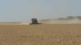 В Ростовской области собран первый миллион тонн зерна