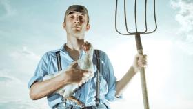 Кто не вернет деньги Россельхозбанку?