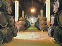 На Ставрополье прошла дегустация «гаражного» вина