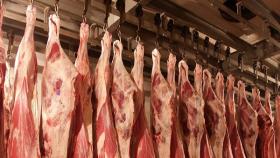 Ветеринары тормозят сбыт в РФ говядины из Костанайской области