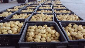 В марте в России подорожали картофель, глазированные сырки и шампанское