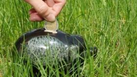 Донские фермеры получили лишь треть причитающихся кредитов