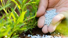 В России запасы минудобрений выросли на 4 процента от прошлого года      