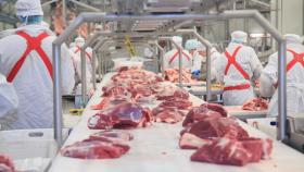 Россия расширит список предприятий по экспорту продовольствия в ОАЭ