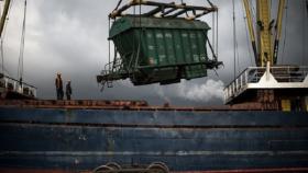 Россельхознадзор возобновил работу в Новороссийском порту