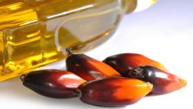 В текущем сезоне снизится мировое предложение пальмового масла