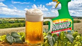 В немецком пиве уменьшается доля глифосата