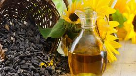 Аргентина заметно расширит площади под масличные