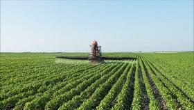 НСА: сельхозкультуры в ЮФО развиваются на 20% хуже обычного