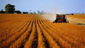 Российское аграрное агентство поздравляет с Днём фермера!