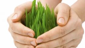 Пострадавшие от паводков фермеры лишились страховок