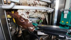 «Русагро» за десять лет планирует роботизировать около трети рабочих мест