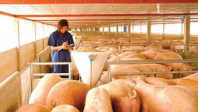 На предприятии 