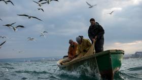 В водном хозяйстве РФ обнаружены нарушения на 6 млрд рублей