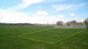 Путин поручил подготовить планы распределения сельхозземель к маю