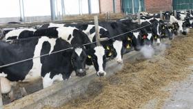 Сибирская компания расширила земельные участки на 2 тыс. гектар