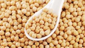 Аргентина начала форвардные продажи соевых бобов будущего урожая