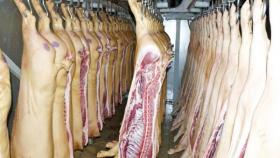 «Русагро» начнёт поставку животноводческой продукции в Китай