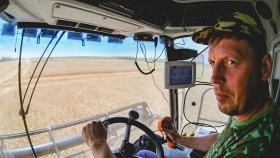 В августе ожидается ослабление экспорта зерна из РФ