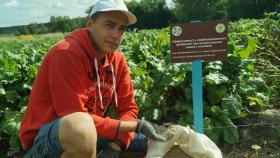 Уральские ученые изобрели удобрение для органического земледелия