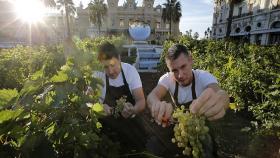 В России подорожают европейские вина