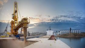 Экспортные цены на российскую пшеницу дошли до максимума