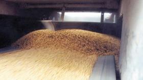 В Пензенской области запустят комплекс по глубокой переработке пшеницы