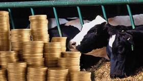 НМА недовольна механизмом льготного кредитования