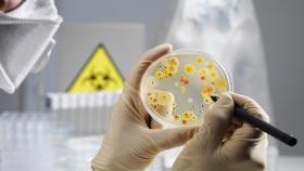 РСХН расследует нарушение санитарных норм ЕС российскими производителями