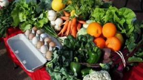 КЧР получит 50 млн на создание сельхозкооперативов