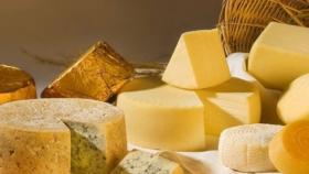 Сыр от Лужкова появится в магазинах в апреле