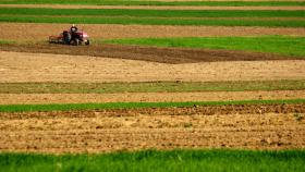 В Вологде будут раздавать по гектару земли желающим