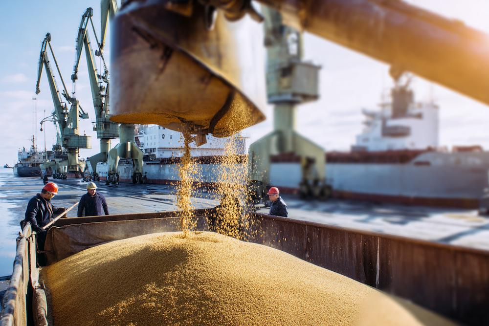 Минсельхоз предлагает ужесточить контроль за качеством экспортного зерна